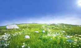 青青草草视频,探寻自然之美，感受生命活力