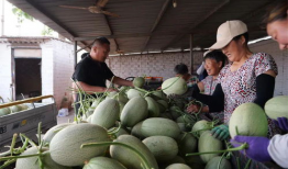 辛集吃瓜爆料平台官网